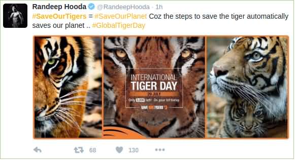 Save Our Tigers Save Our Planet – International Tiger Day