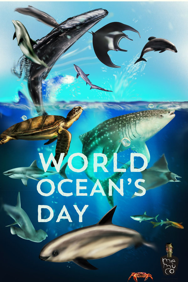 Shark And Dolphins In Sea - World Ocean Day