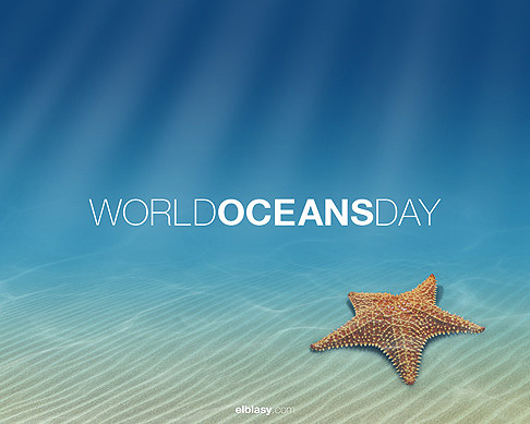 Star Fish In Sea – World Ocean Day