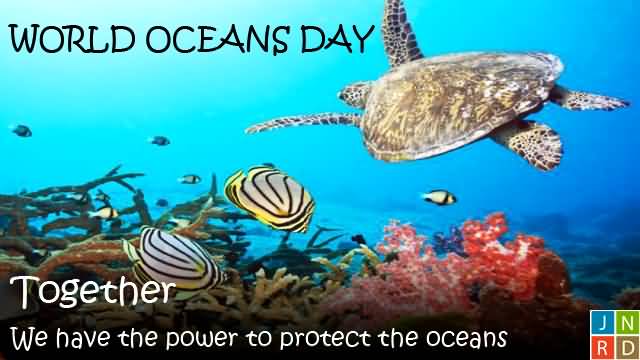 Together We Have the Power To Protect The Ocean - World Ocean Day