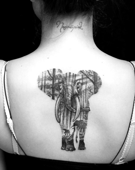 Wild Elephant Tattooed On Girl Upper Back