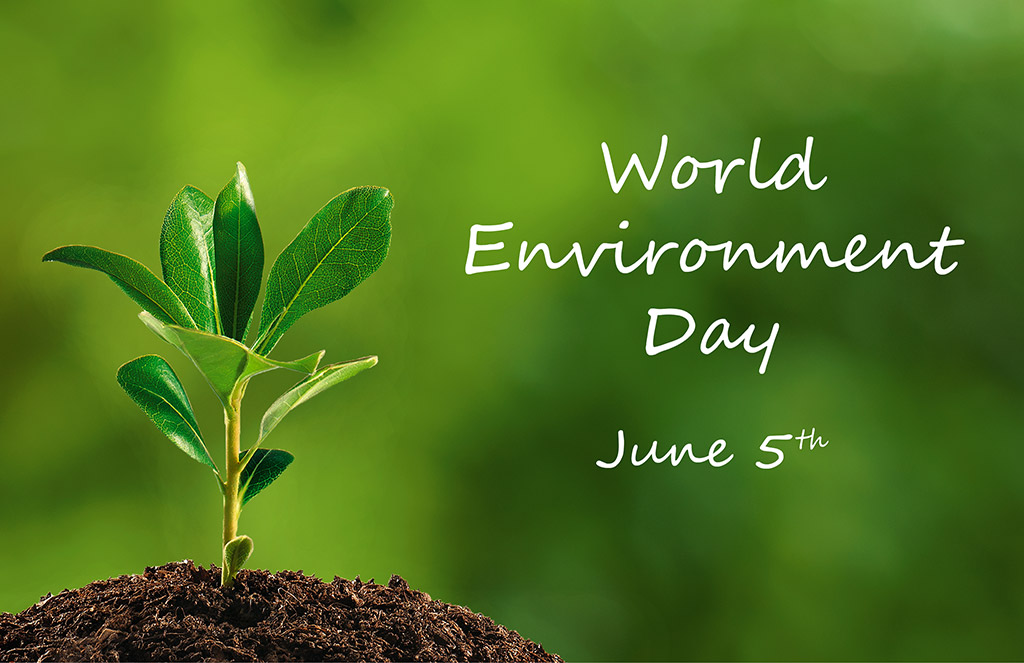World Environment Day June 5th 2017
