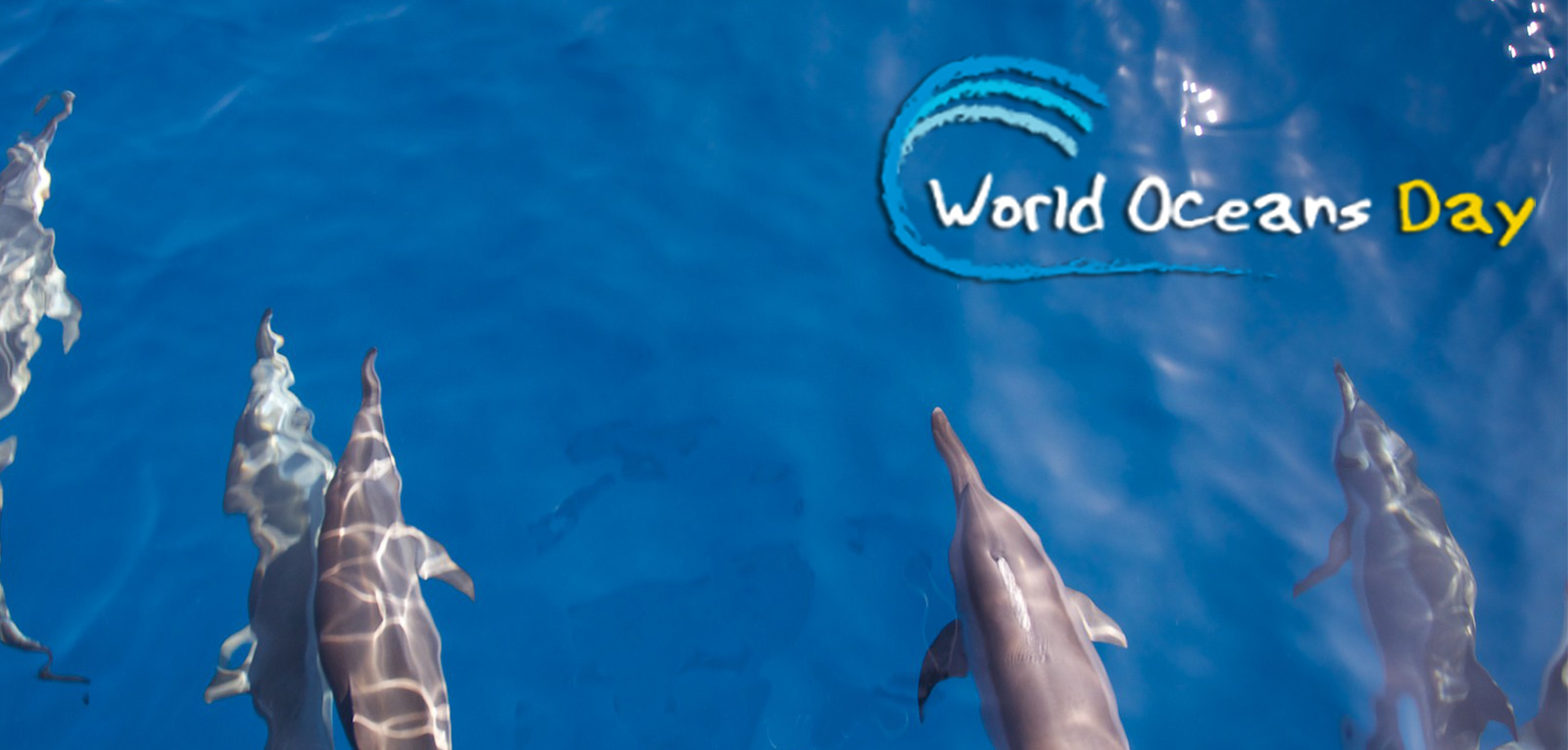 World Ocean Day Graphic Image