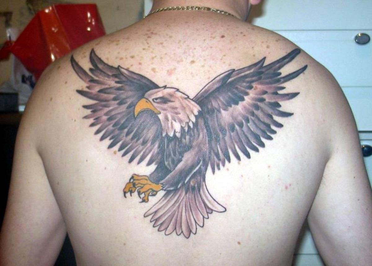 Yellow Beak Eagle Tattoo On Man Back