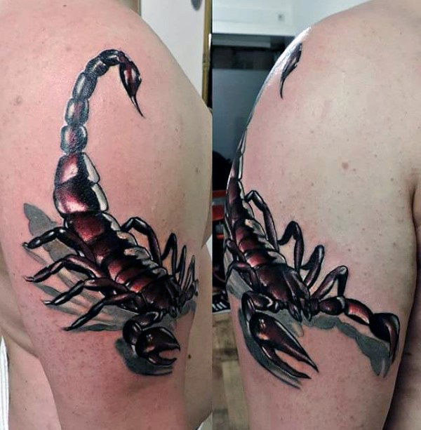 3D Scorpion Tattoo On Man Right Bicep