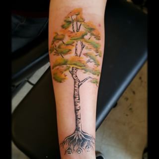 Amazing Birch Tree Tattoo On Left Forearm