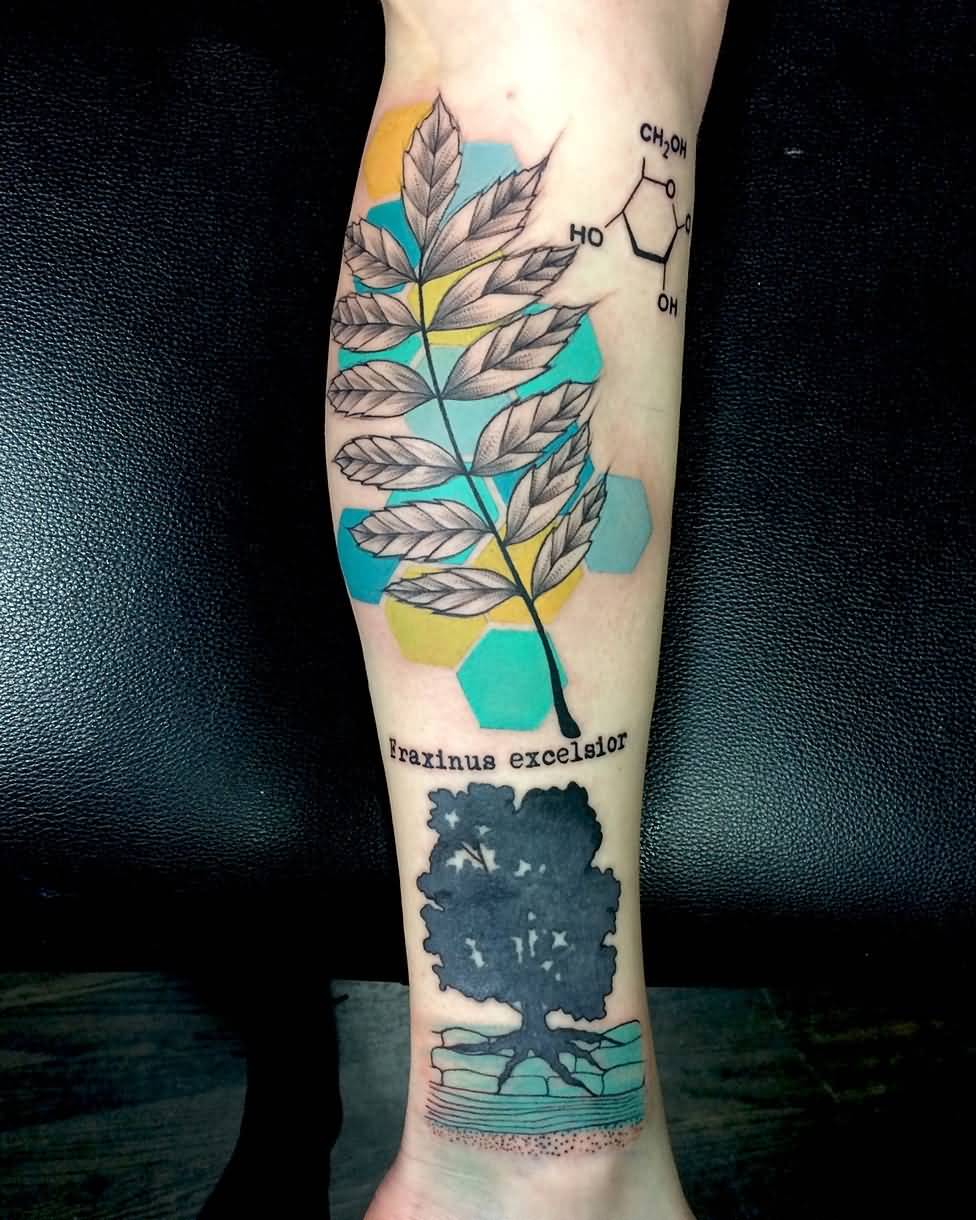 Ash Tree Tattoo On Back Leg