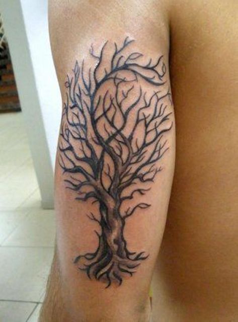 Autumn Oak Tree Tattoo On Left Bicep