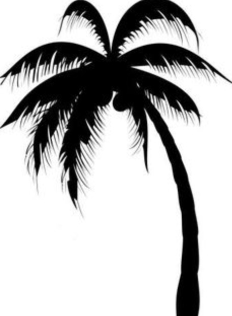 Awesome Black Silhouette Palm Tree Tattoo Design