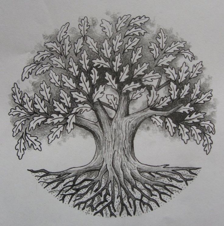 Awesome Oak Tree Tattoo Design