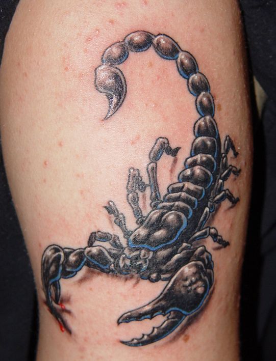 Awesome Scorpion Tattoo On Left Bicep