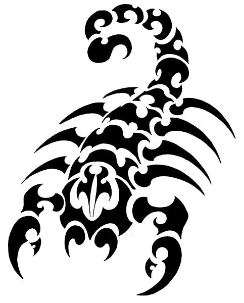 Awesome Tribal Scorpion Tattoo Design Idea