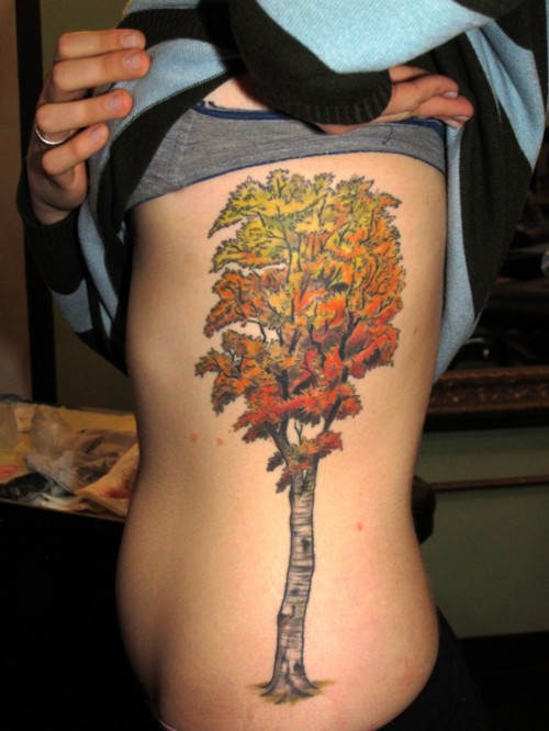 Beautiful Birch Tree Tattoo On Girl Side Rib