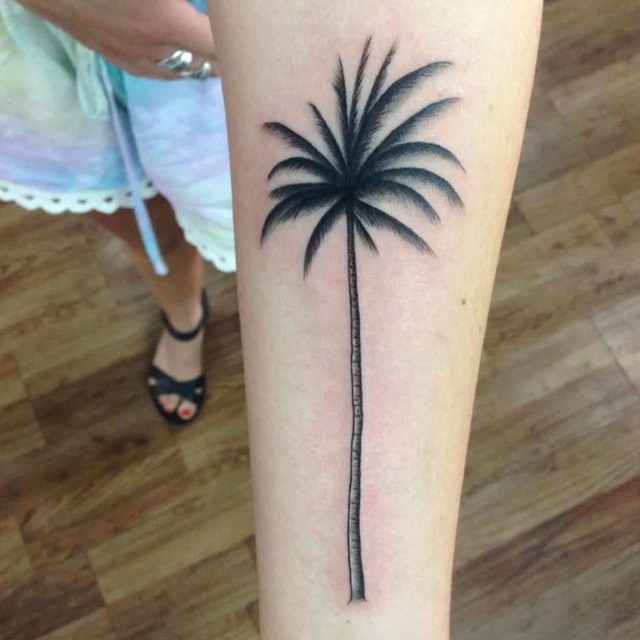 Beautiful Palm Tree Tattoo On Girl Left Forearm