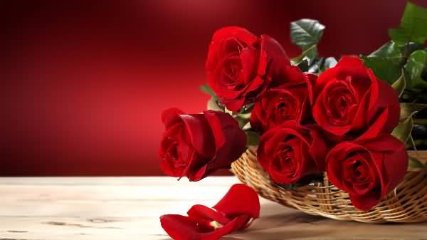 Beautiful Red Rose Day Flower Boquet