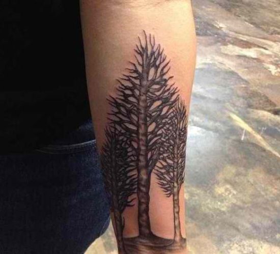 Birch Tree Tattoo On Left Sleeve