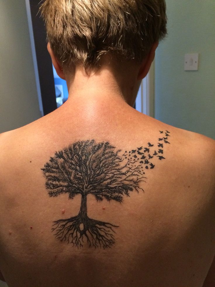 Birds Flying From Oak Tree Tattoo On Man Upper Back