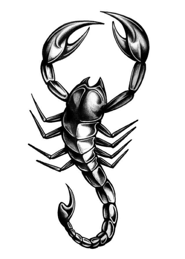 Black And Grey Scorpion Tattoo Design Sample