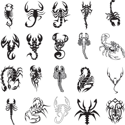 Black And Grey Scorpion Tattoos Design