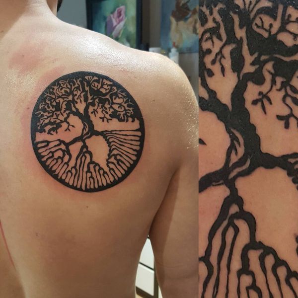 Black Ink Ash Tree Tattoo On Right Back Shoulder
