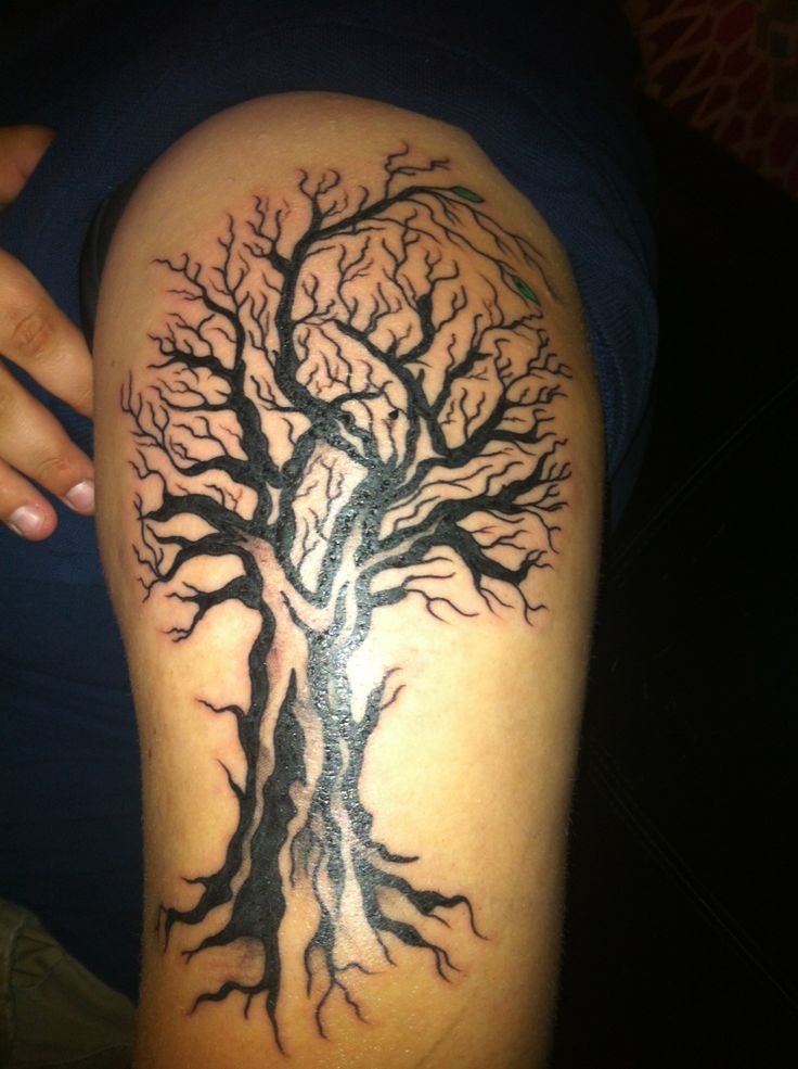 Black Ink Ash Tree Without Leaves Tattoo On Half Sleeve
