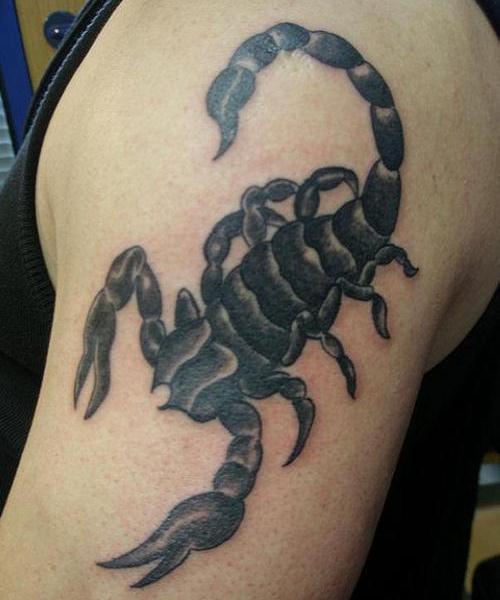 Black Ink Scorpion Tattoo On Left Arm