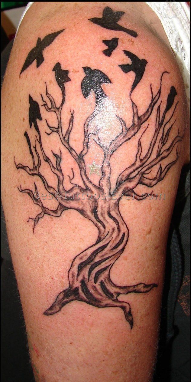Black Silhouette Birds And Ash Tree Tattoo On Sleeve