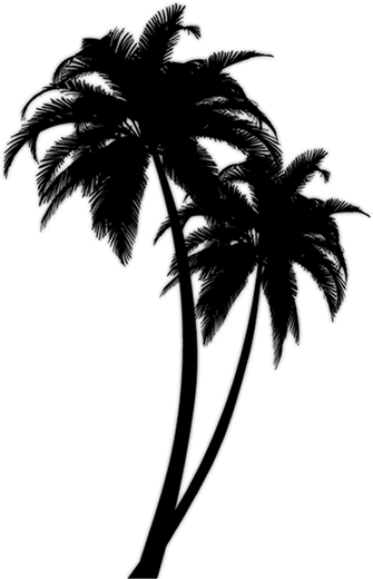 Blak Ink Palm Tree Tattoos Design