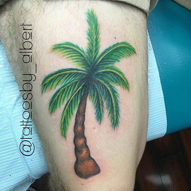 Brown And Green Ink Palm Tree Tattoo On Thigh by Albert