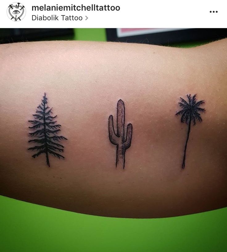 Cactus, Palm Tree and Pine Tree Tattoo On Inner Bicep