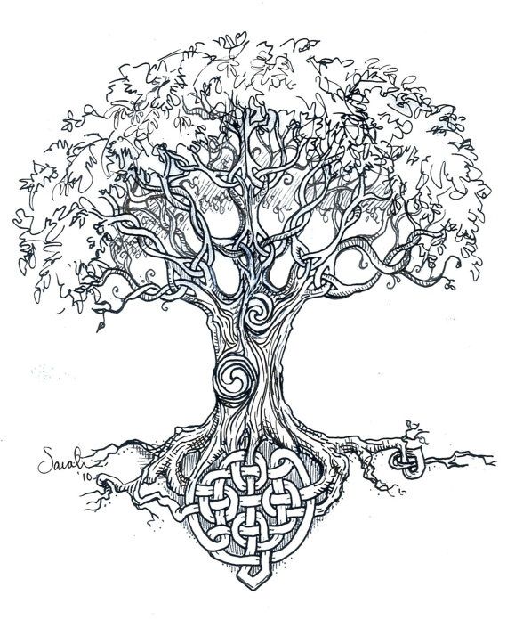 Celtic Roots Ash Tree Tattoo Design