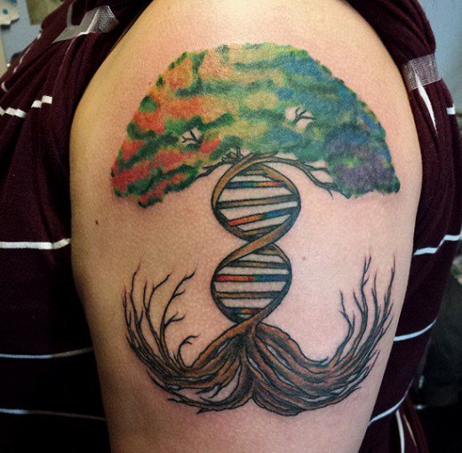 Color Ink Ash Tree Tattoo On Left Shoulder