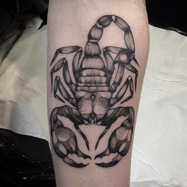 Dotwork Grey Scorpion Tattoo On Arm Sleeve
