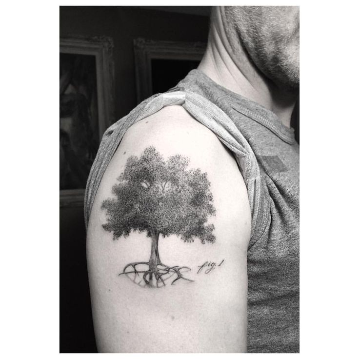 Dotwork Oak Tree Tattoo On Man Right Shoulder