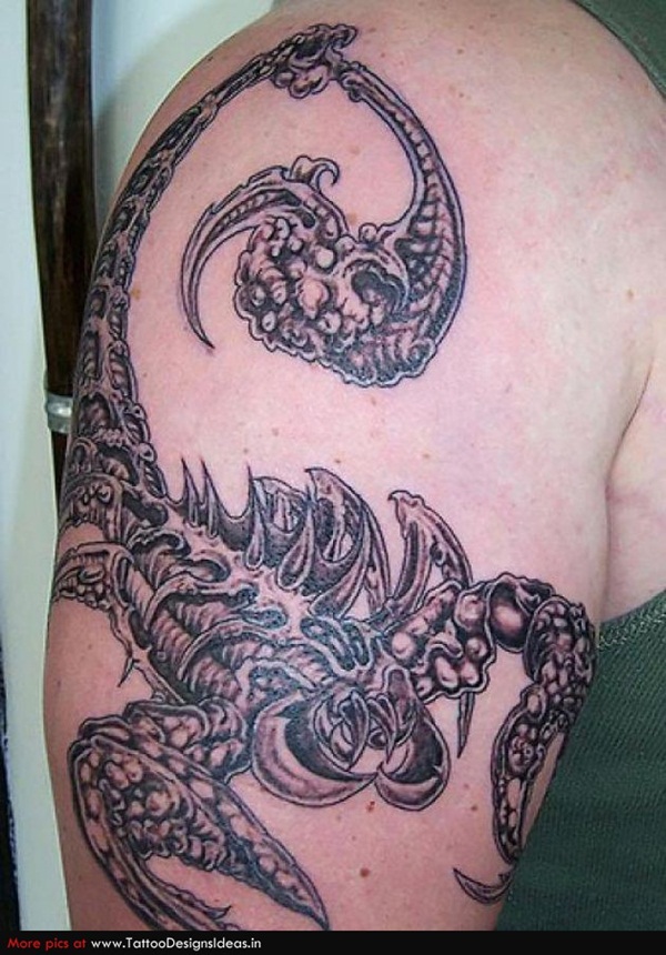 Feminine Scorpion Tattoo On Right Shoulder