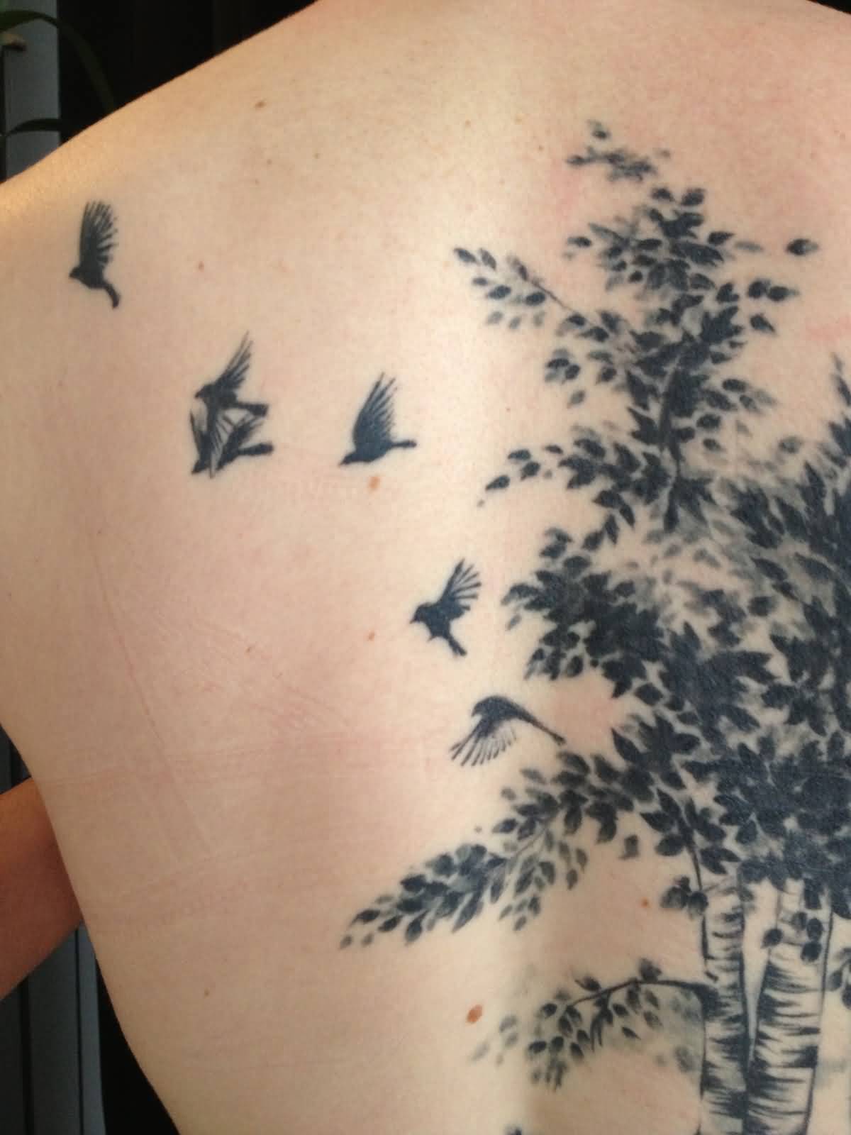 Flying Birds And Birch Tree Tattoo On Back Body