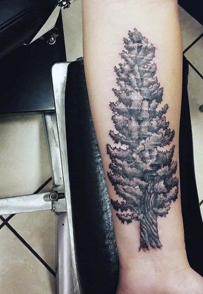 Forearm Grey Ink Pine Tree Tattoo