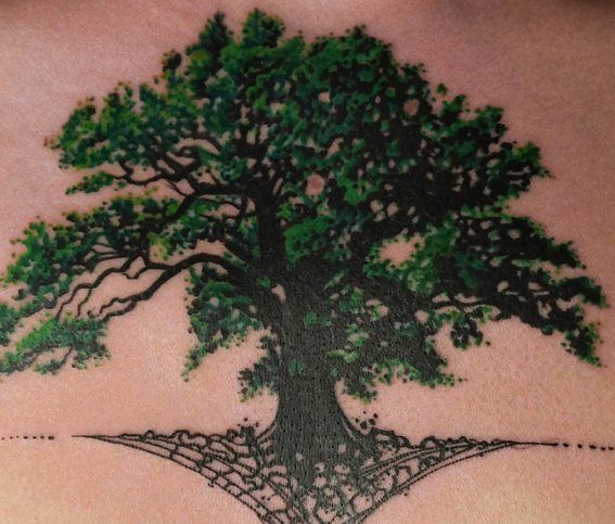 Green Ink Oak Tree Tatoo On Back