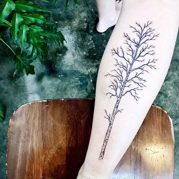 Grey And Black Ink Birch Tree Tattoo On Back Leg