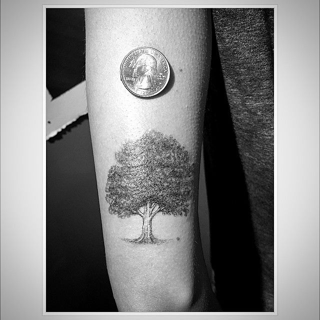 Grey And Black Oak Tree Tattoo On Left Bicep