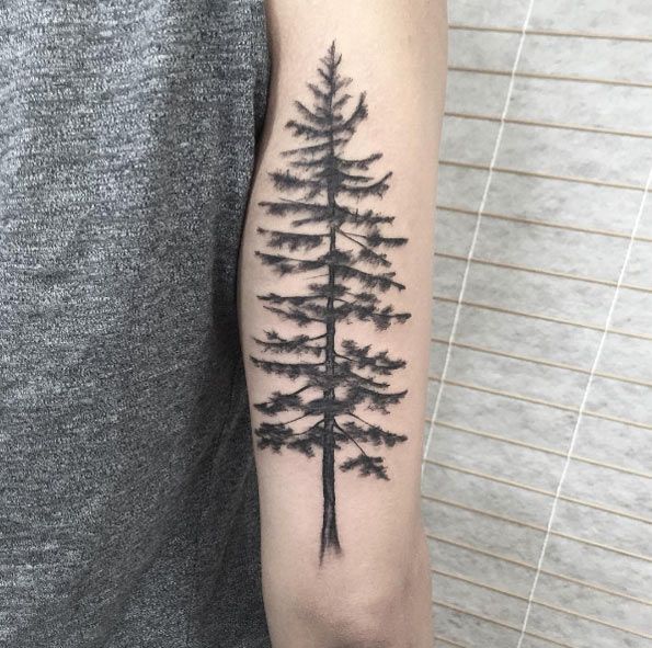 Grey And Black Pine Tree Tattoo On Right Bicep