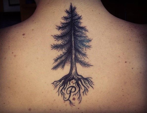 Grey And Black Pine Tree Tattoo On Upper Back