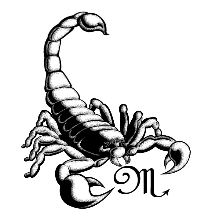 Grey And White Girly Scorpion Tattoo Design