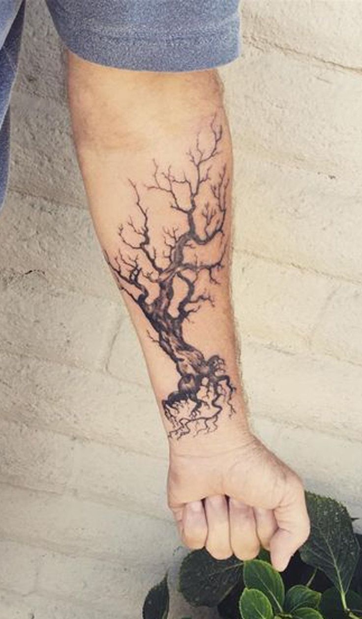 Grey Ink Oak Tree Tattoo On Left Forearm