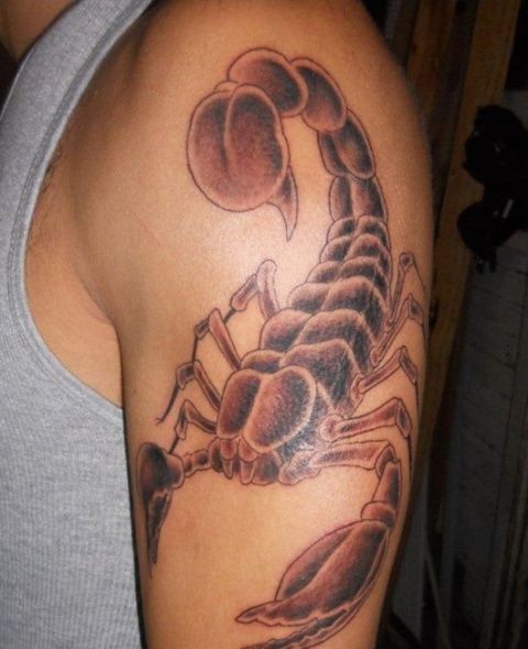 Grey Ink Scorpion Tattoo On Man Left Shoulder