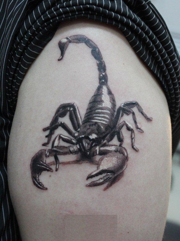 Grey Realistic Scorpion Tattoo On Shoulder