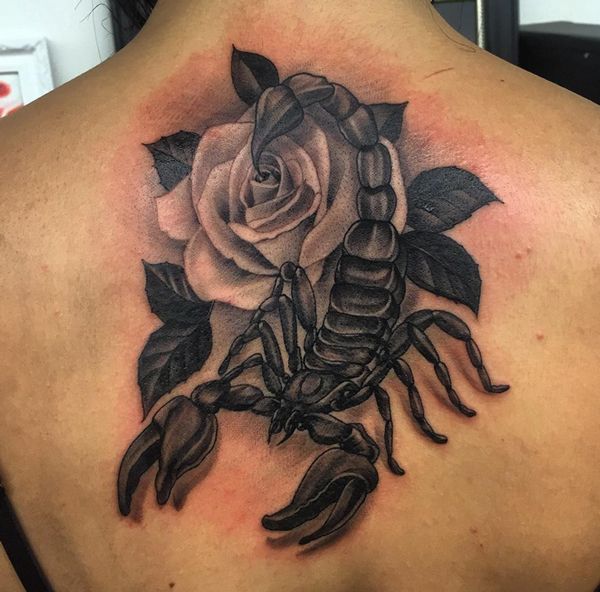 Grey Rose Flower And Scorpion Tattoo On Upper Back
