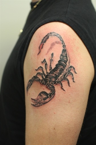 Grey Scorpion Tattoo On Left Arm Shoulder