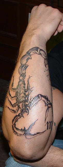 Grey Scorpion Tattoo On Man Right Arm