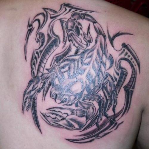 Grey and Black Scorpion Tattoo On Right Back Shoulder